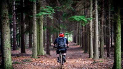 person cycling on bike surrounds with trees at daytime