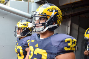 Helmet Stickers: Michigan